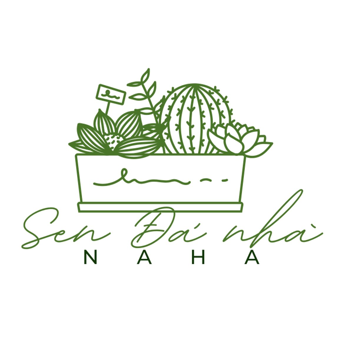 Lời chào từ Sen Đá Naha