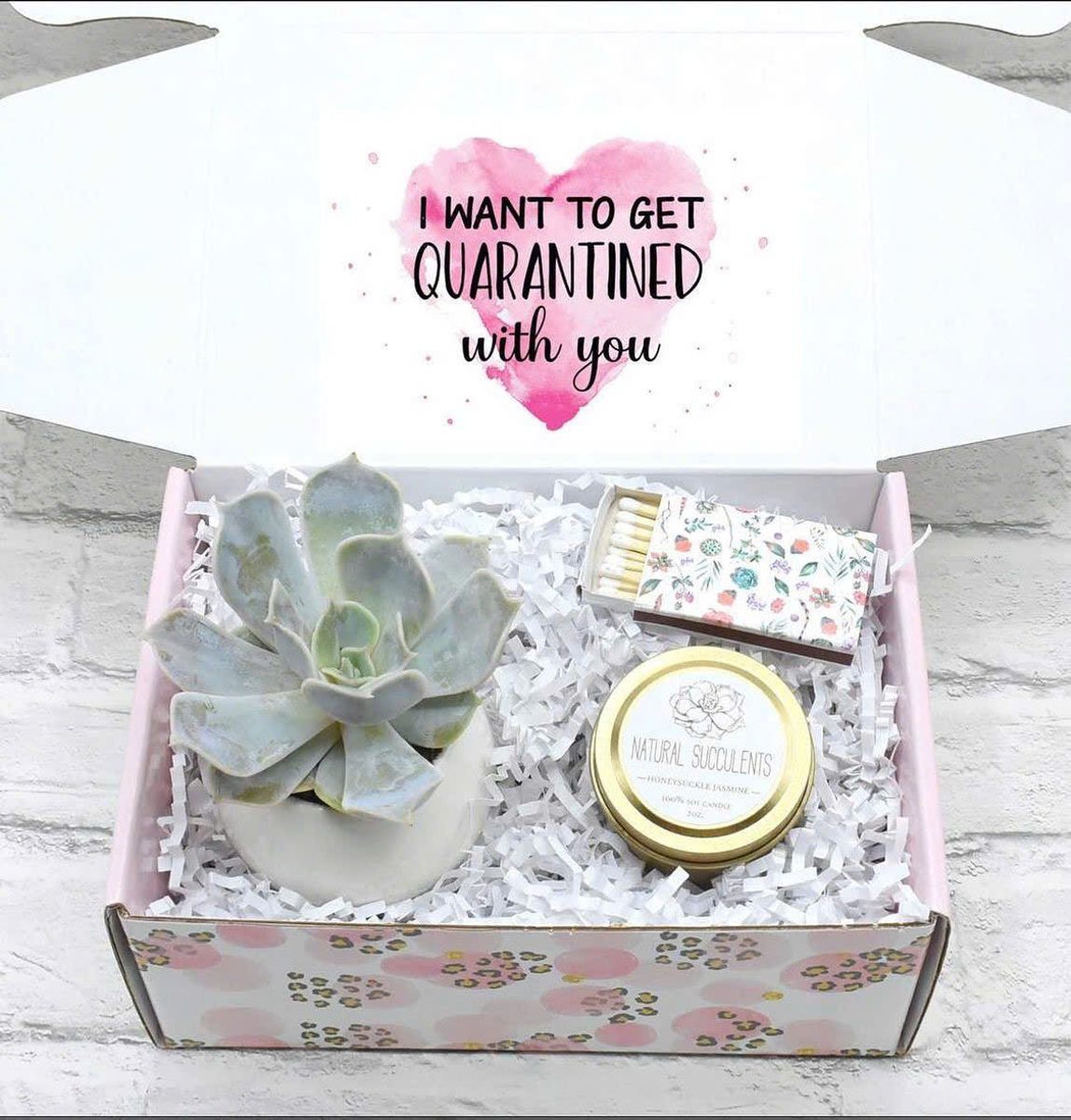 Set quà tri ân ( Sen đá + nến thơm + thiệp ) 2