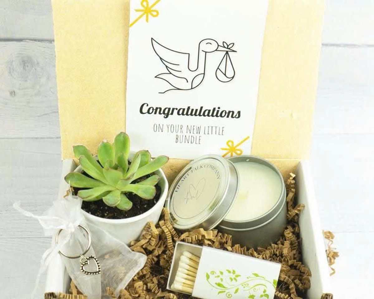 Set quà tặng Sen Đá premium bao gồm: Sen Đá, nến thơm và trang sức cao cấp  3